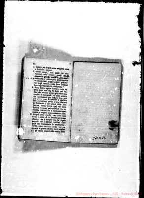 Fotogramma B 12
