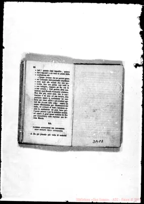 Fotogramma C 2