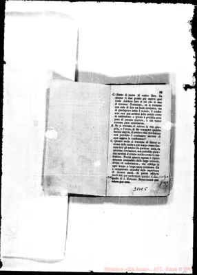 Fotogramma C 5
