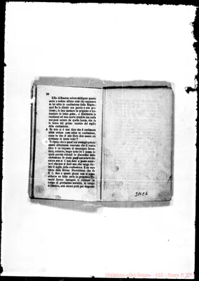 Fotogramma C 6