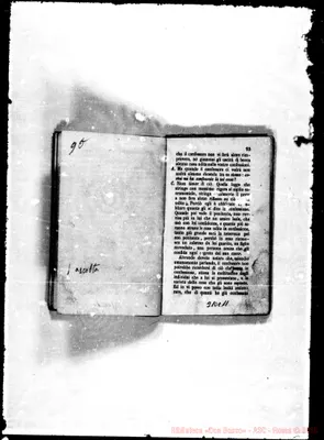 Fotogramma C 11