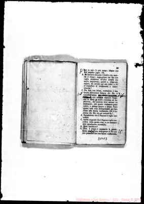 Fotogramma D 3