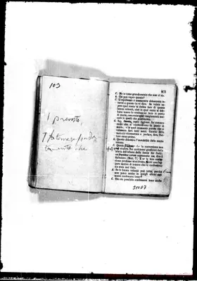 Fotogramma D 7