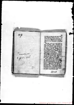 Fotogramma D 11
