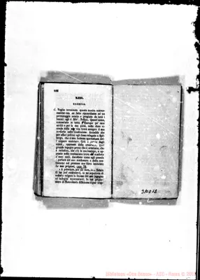Fotogramma D 12