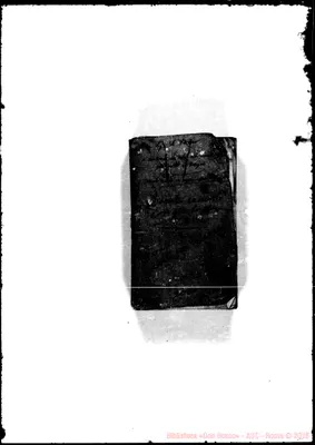 Fotogramma A 10