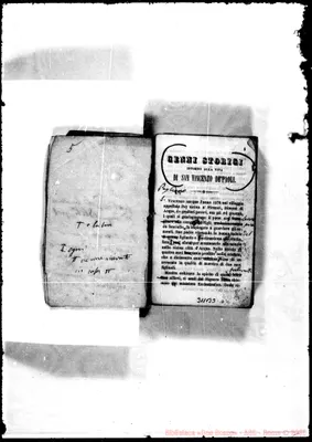 Fotogramma B 3