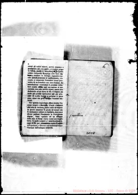 Fotogramma B 4