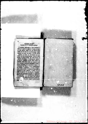 Fotogramma B 12