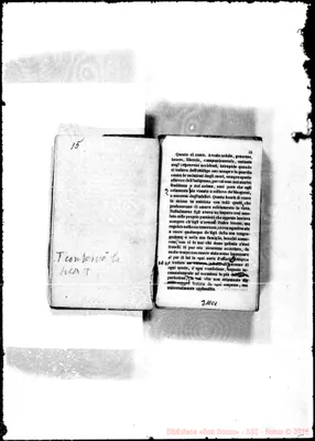 Fotogramma C 1