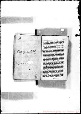 Fotogramma C 5