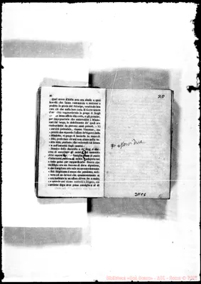 Fotogramma C 6