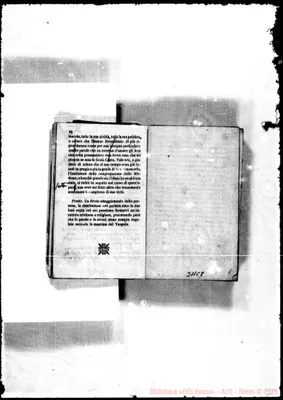 Fotogramma C 8
