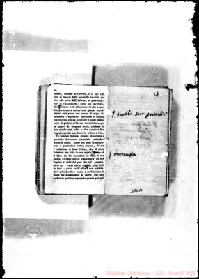 Fotogramma C 10