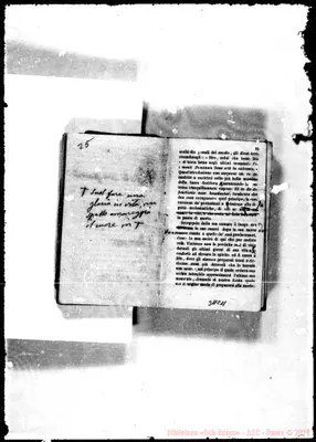 Fotogramma C 11