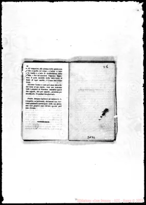 Fotogramma D 2