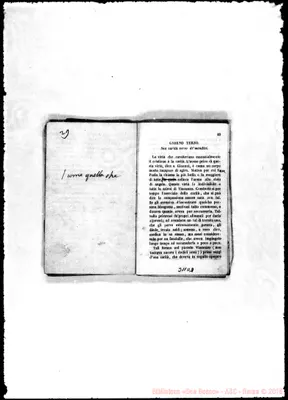 Fotogramma D 3