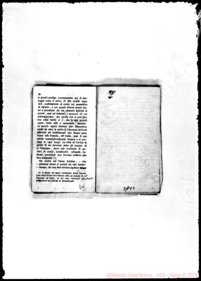Fotogramma D 4