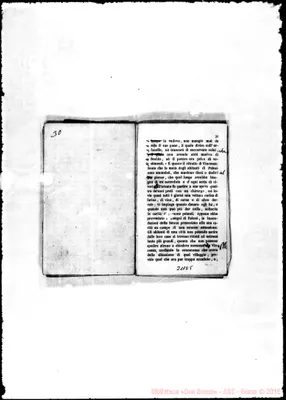 Fotogramma D 5