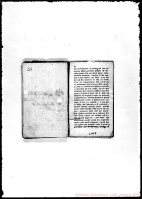 Fotogramma D 7