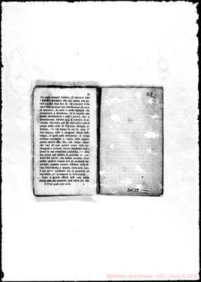 Fotogramma D 8