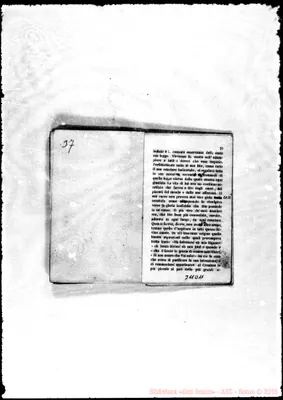 Fotogramma D 11
