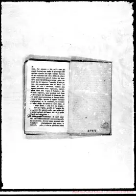 Fotogramma D 12