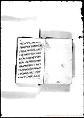 Fotogramma E 4