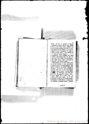Fotogramma E 7
