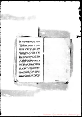 Fotogramma E 8