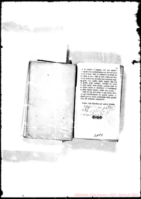Fotogramma E 9