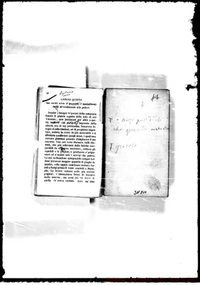 Fotogramma E 10