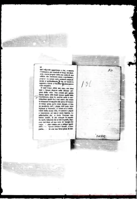 Fotogramma E 12