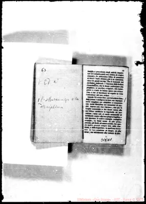 Fotogramma B 1