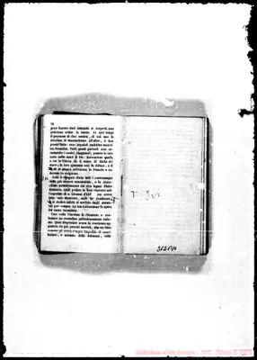 Fotogramma B 10