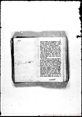 Fotogramma B 11