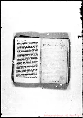 Fotogramma B 12