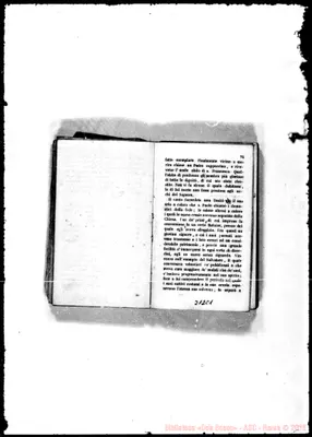 Fotogramma C 1