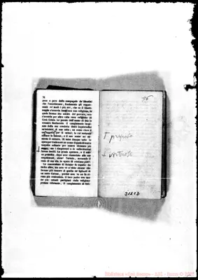 Fotogramma C 2