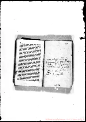 Fotogramma C 6