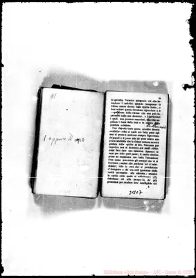 Fotogramma C 7