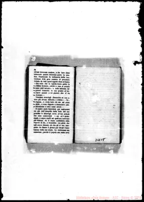 Fotogramma C 8