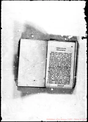 Fotogramma C 11