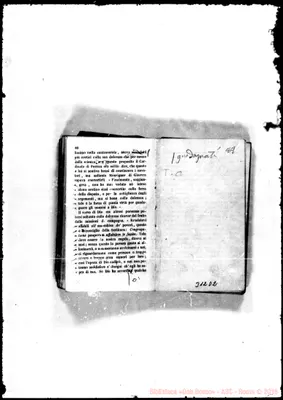 Fotogramma D 2