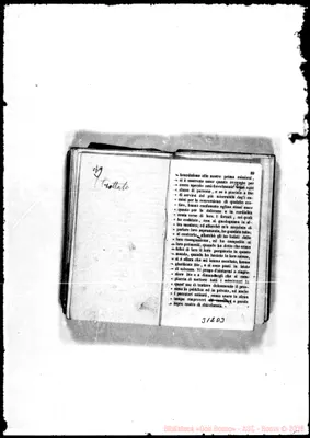 Fotogramma D 3