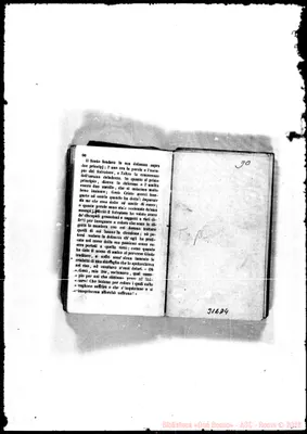 Fotogramma D 4