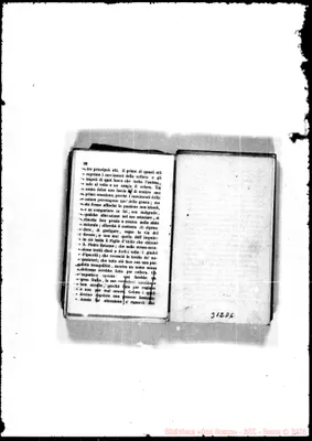 Fotogramma D 6