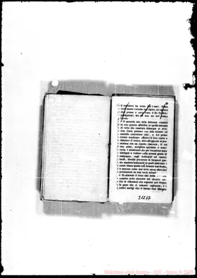 Fotogramma D 7