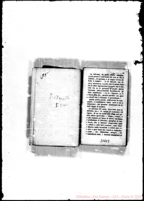 Fotogramma D 9