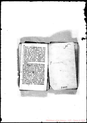 Fotogramma D 10